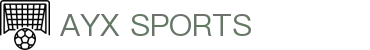 AYX·爱游戏「中国」官方网站_AYX GAME